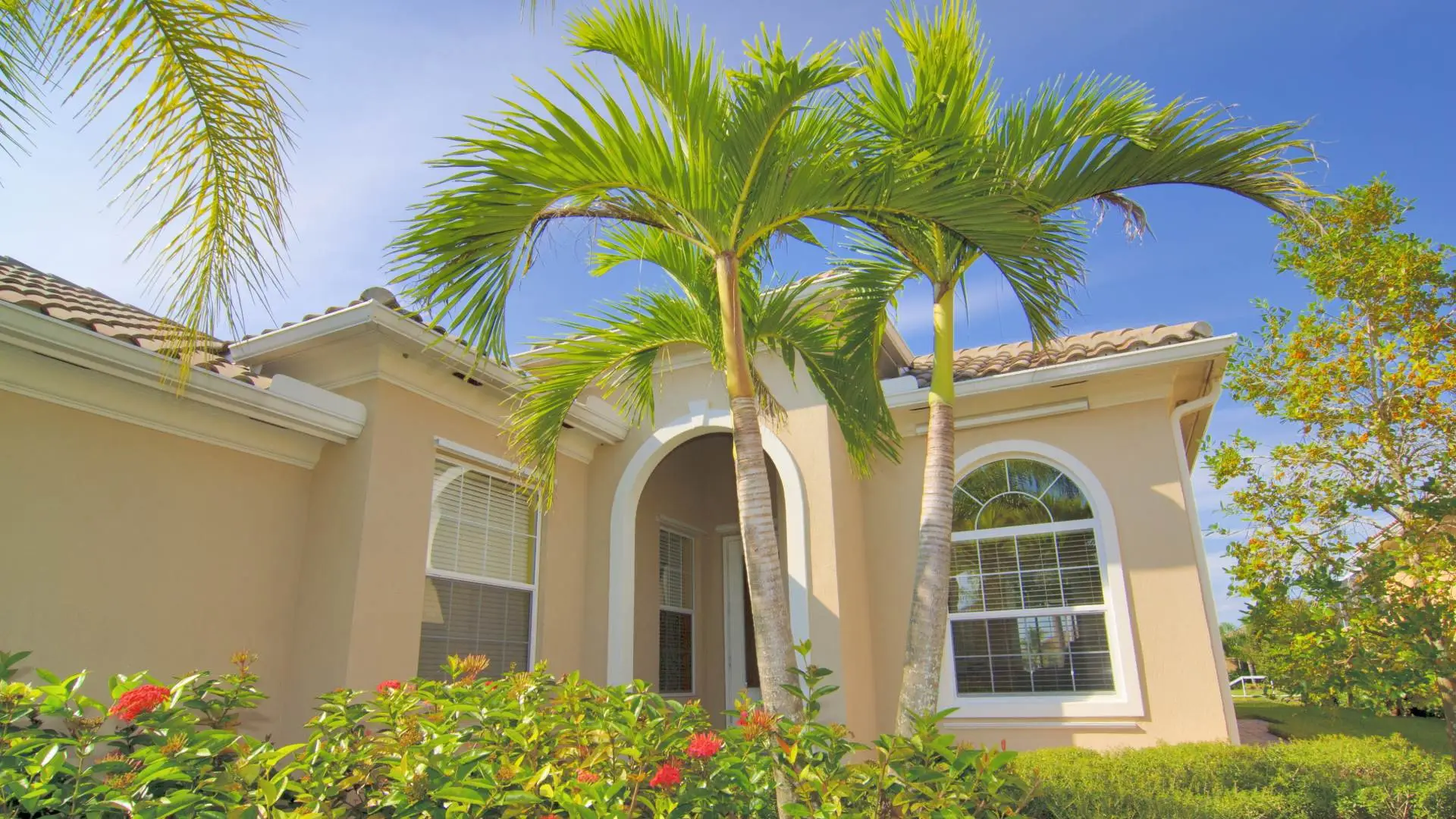 Residential property with neatly trimmed palm trees in Hillsborough County, FL.