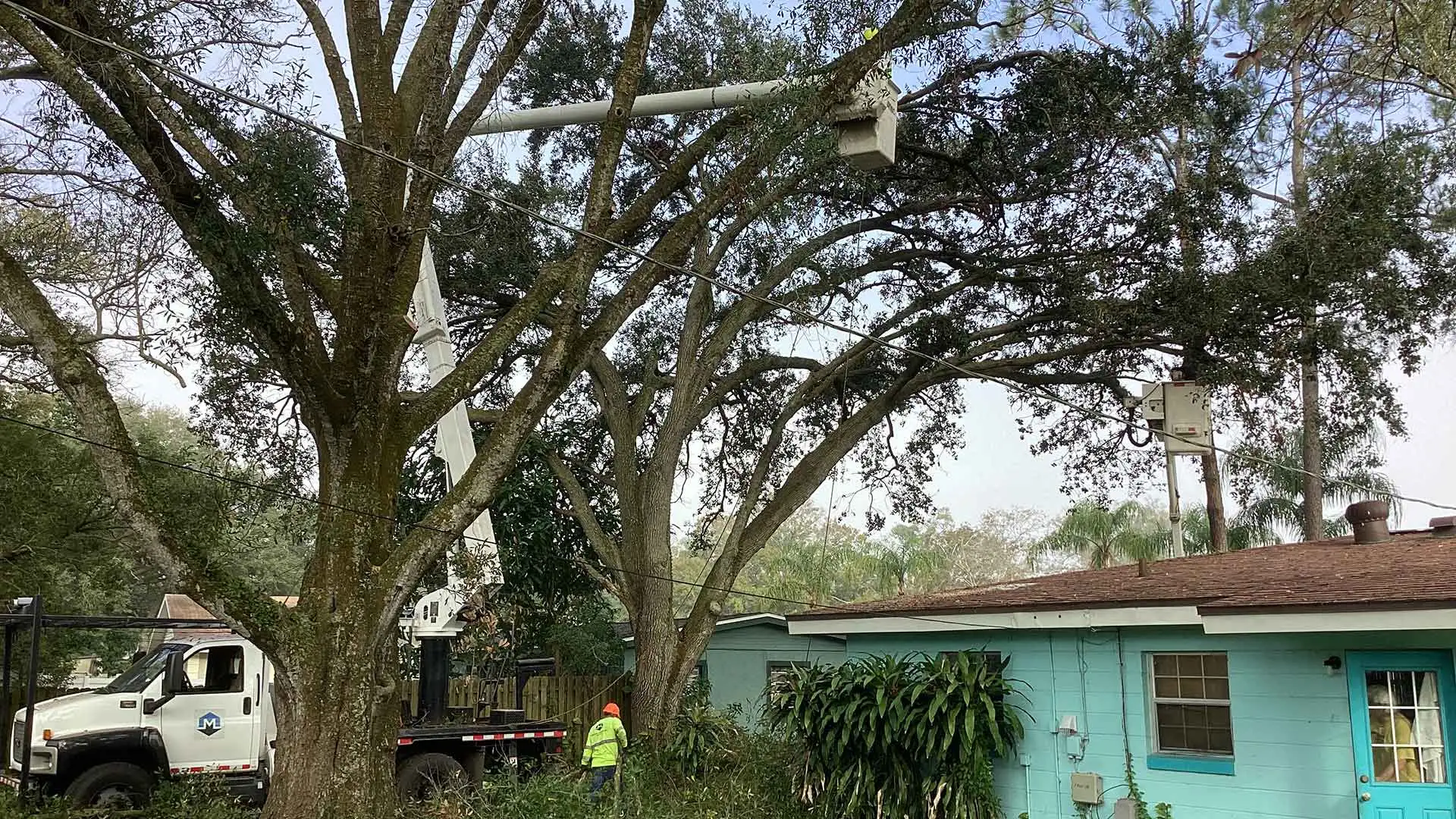 Tree expert in boom truck clearing damaged tree and limbs near Clearwater, FL.