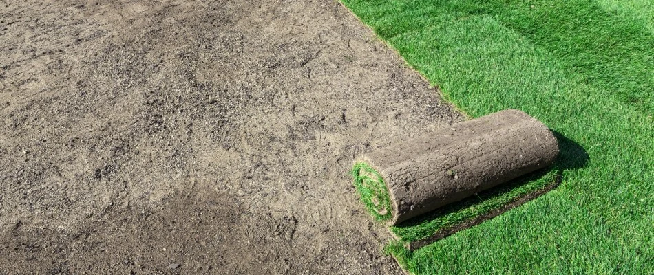Sod rolled out onto property in Hillsborough County, FL.