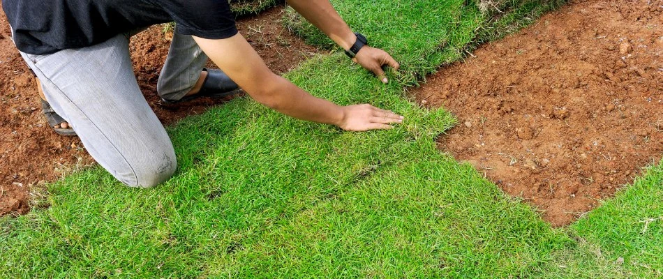 A worker installing a sod square to a property in Manatee County, FL.